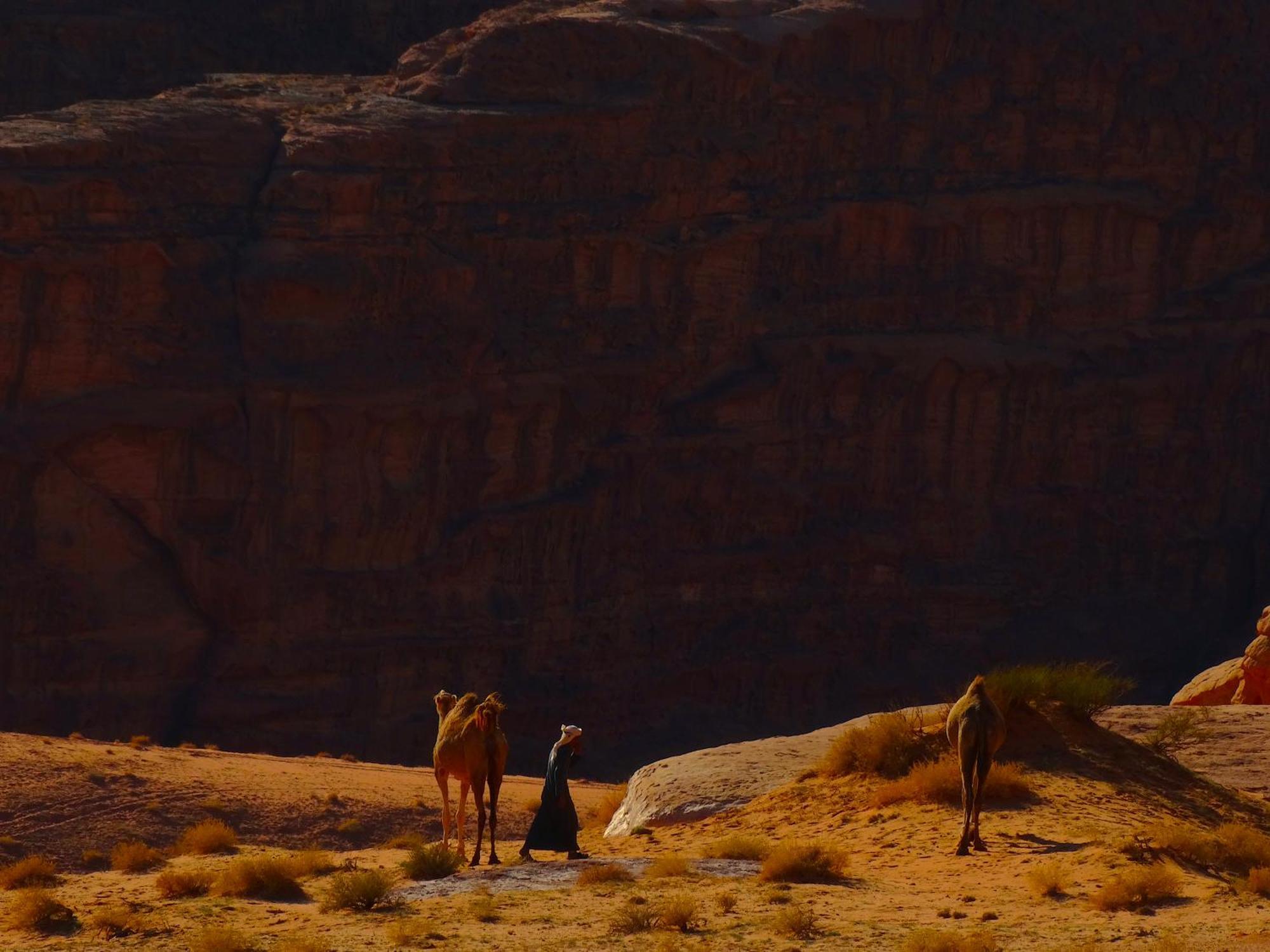 Wadi Rum View Camp Екстериор снимка