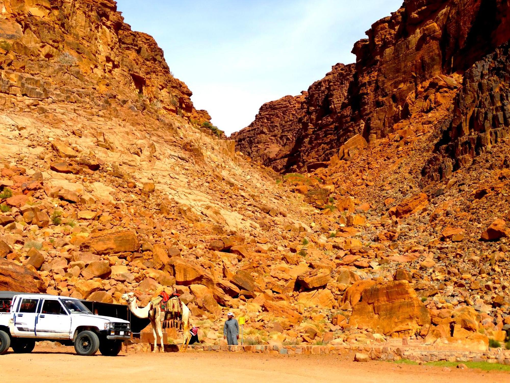 Wadi Rum View Camp Екстериор снимка