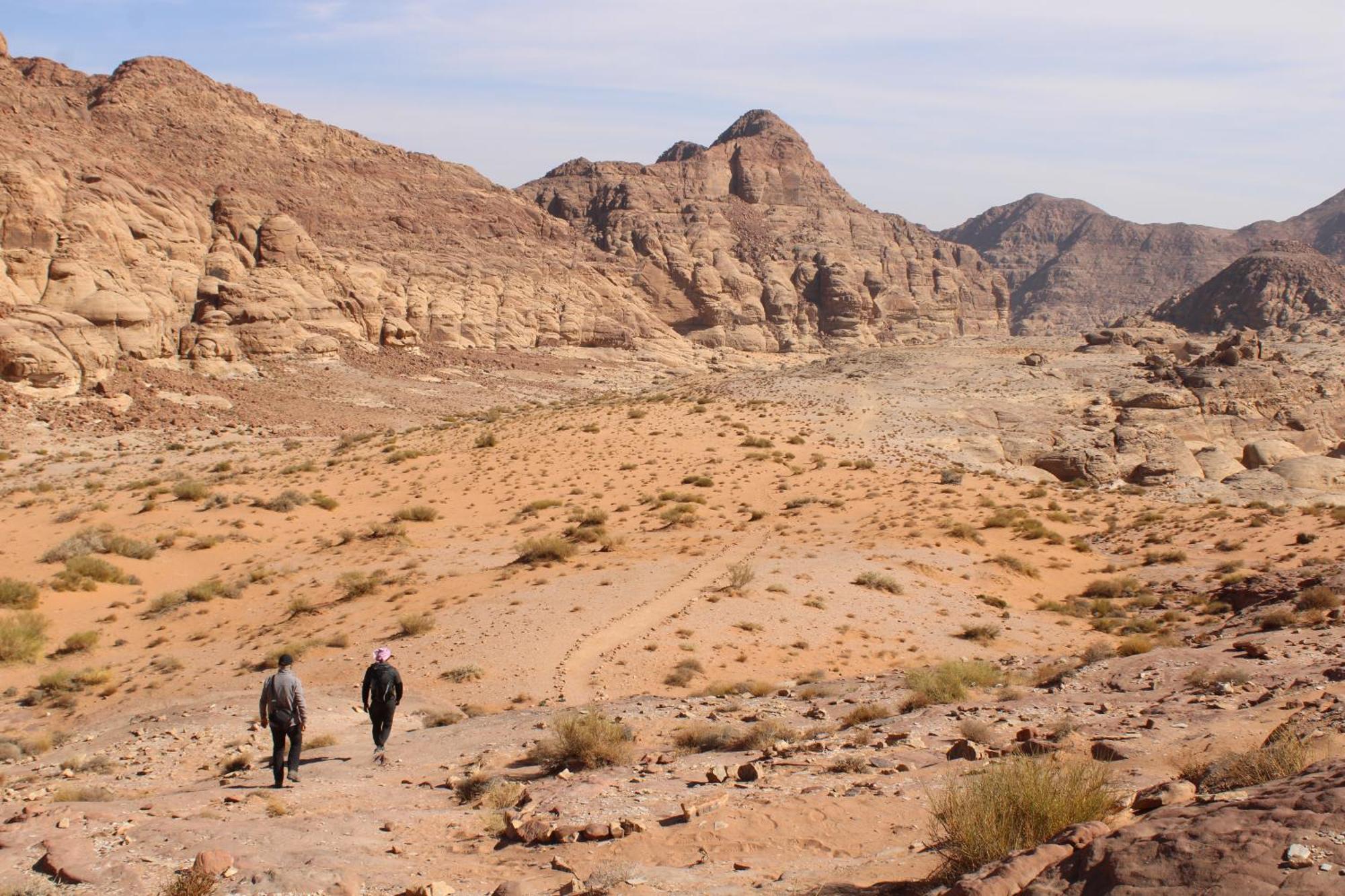 Wadi Rum View Camp Екстериор снимка